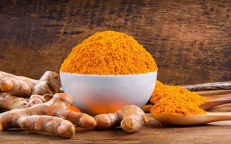 Premium turmeric rhizomes and powder quality